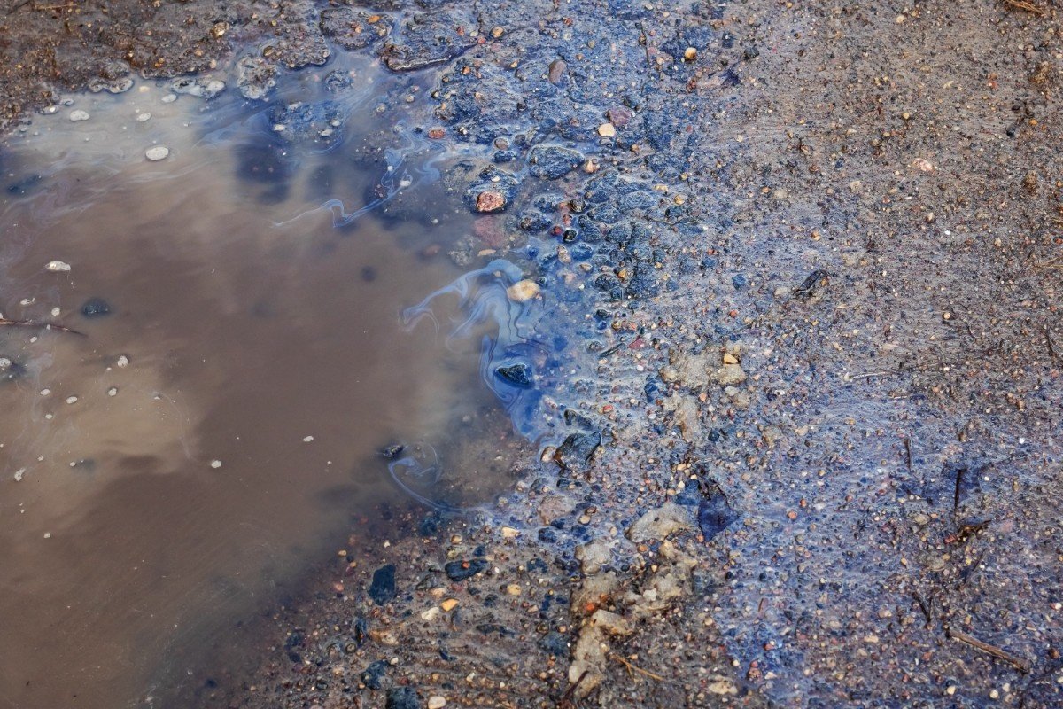 Sewage Sludge